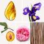 Preview: Duftnoten: Amber, Schwertlilie, Pflaume, Rose, Vetiver